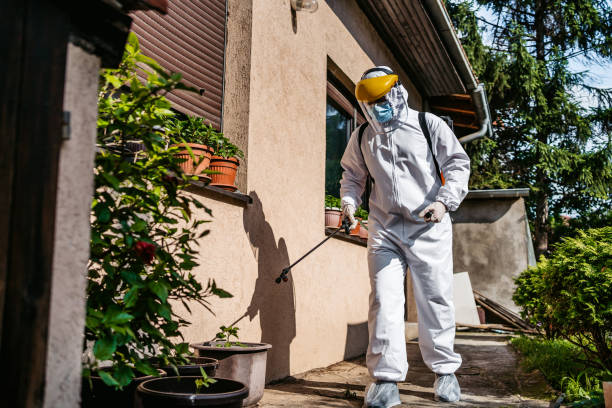 Wasp Removal Services in Cedar Mill, OR